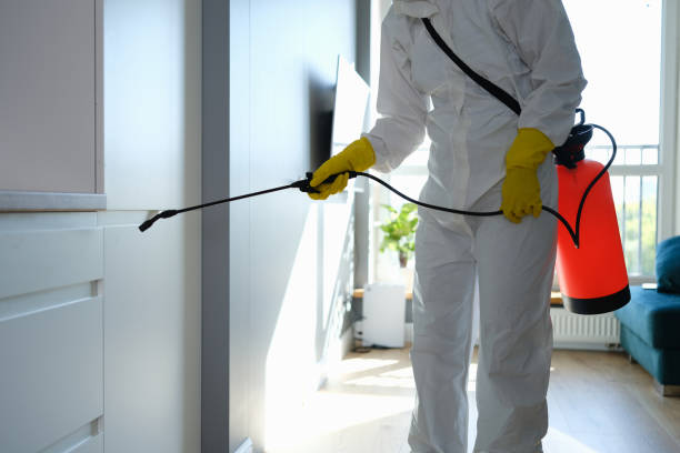 Best Attic Mold Removal  in Parshall, ND