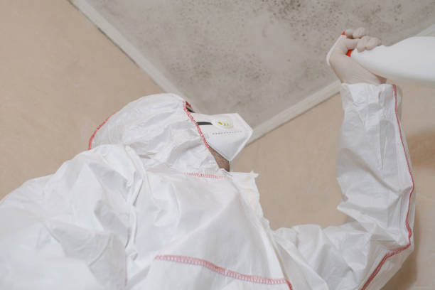Best Mold Cleaning Services  in Parshall, ND