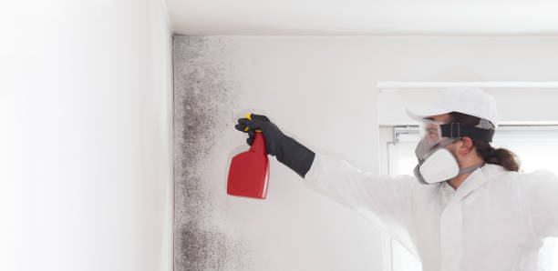 Best Water Damage Restoration  in Parshall, ND