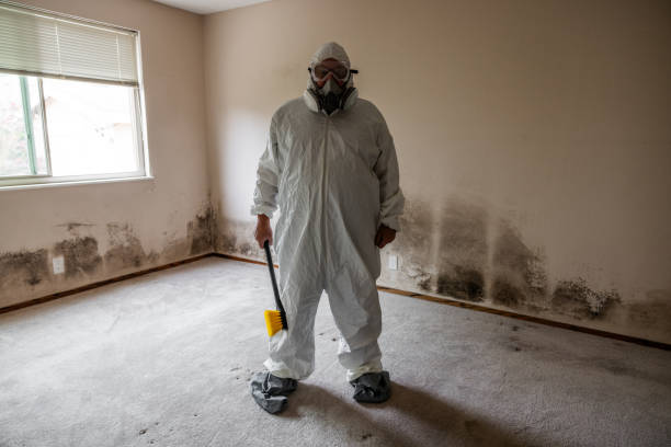 Professional Mold Removal in Parshall, ND